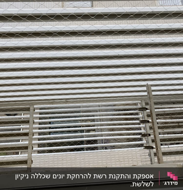 רשת מתוחה למניעת כניסת יונים במרפסת